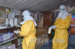 Số ca tử vong do dịch Ebola tăng mạnh